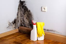 Best Mold Remediation for Healthcare Facilities  in Crest Hl, IL